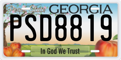 GA license plate PSD8819