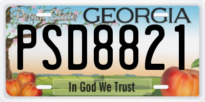 GA license plate PSD8821
