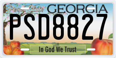 GA license plate PSD8827