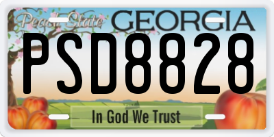 GA license plate PSD8828