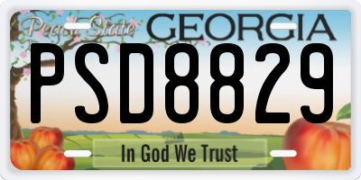 GA license plate PSD8829