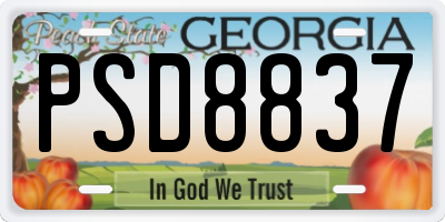 GA license plate PSD8837