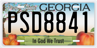 GA license plate PSD8841