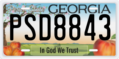 GA license plate PSD8843
