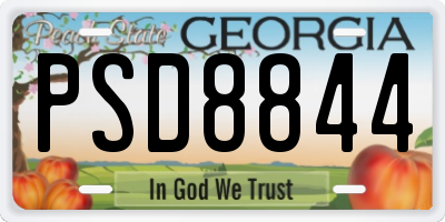 GA license plate PSD8844