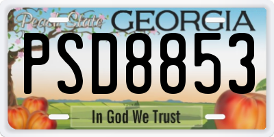 GA license plate PSD8853