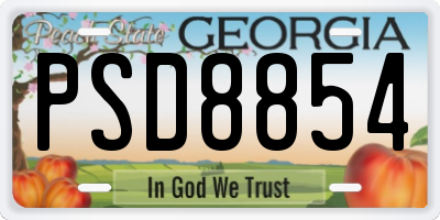 GA license plate PSD8854