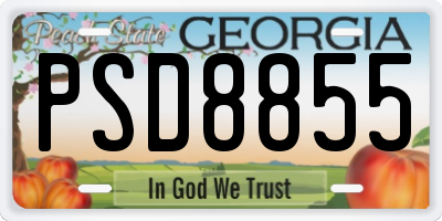 GA license plate PSD8855