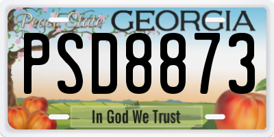 GA license plate PSD8873