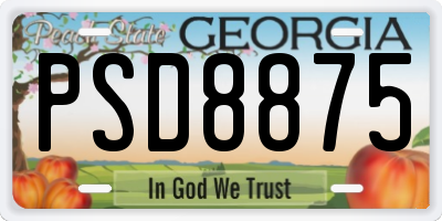 GA license plate PSD8875