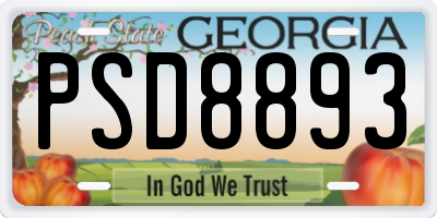 GA license plate PSD8893