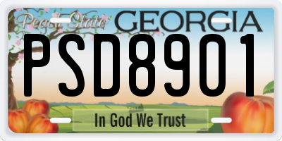GA license plate PSD8901