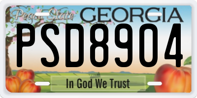 GA license plate PSD8904