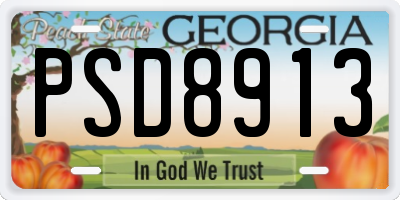 GA license plate PSD8913
