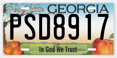 GA license plate PSD8917