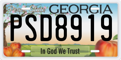 GA license plate PSD8919