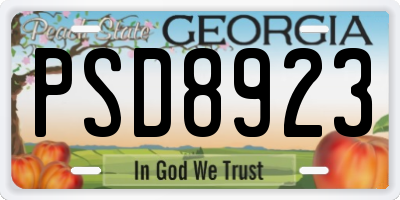 GA license plate PSD8923