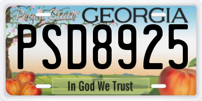 GA license plate PSD8925