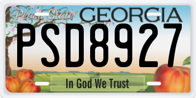 GA license plate PSD8927