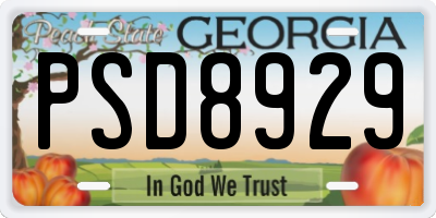 GA license plate PSD8929
