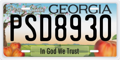 GA license plate PSD8930