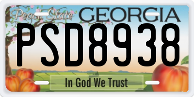 GA license plate PSD8938