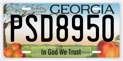 GA license plate PSD8950