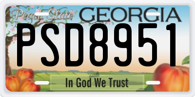 GA license plate PSD8951