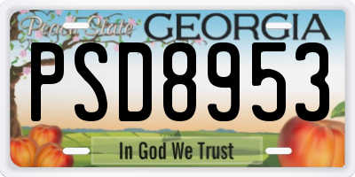 GA license plate PSD8953