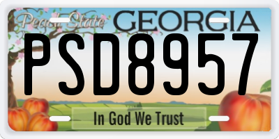 GA license plate PSD8957