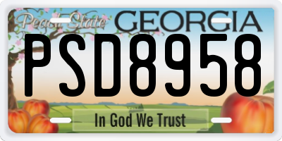 GA license plate PSD8958