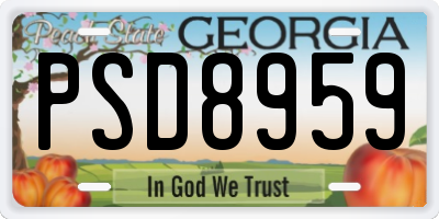 GA license plate PSD8959