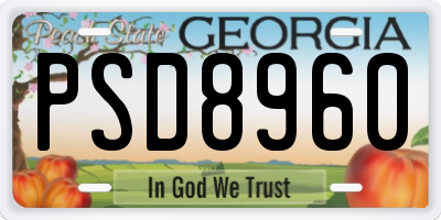 GA license plate PSD8960