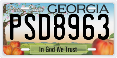 GA license plate PSD8963