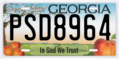 GA license plate PSD8964