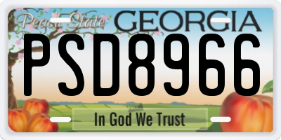 GA license plate PSD8966