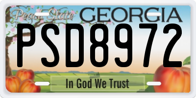GA license plate PSD8972