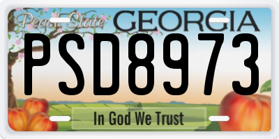 GA license plate PSD8973