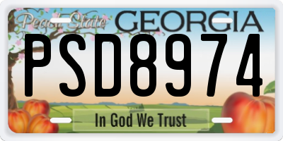 GA license plate PSD8974