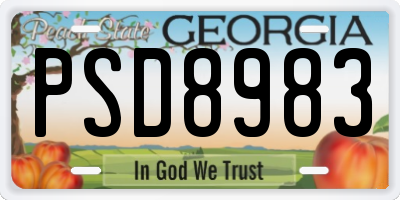GA license plate PSD8983