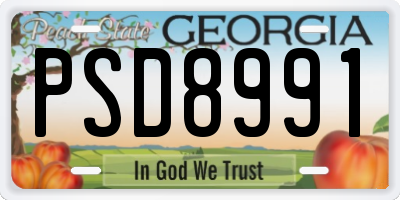 GA license plate PSD8991