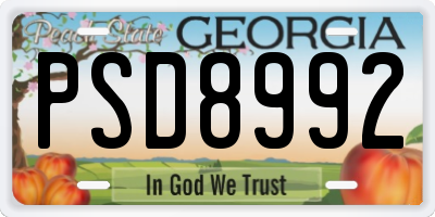 GA license plate PSD8992