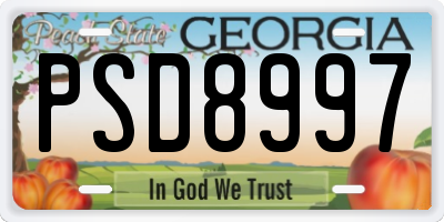 GA license plate PSD8997