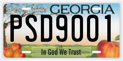 GA license plate PSD9001
