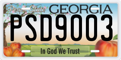GA license plate PSD9003