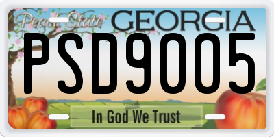 GA license plate PSD9005