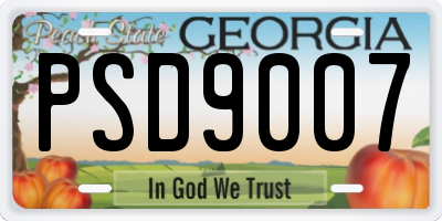 GA license plate PSD9007