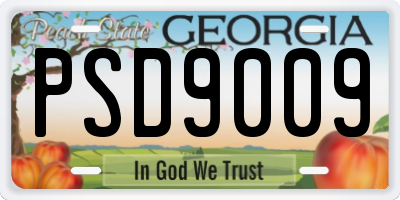 GA license plate PSD9009