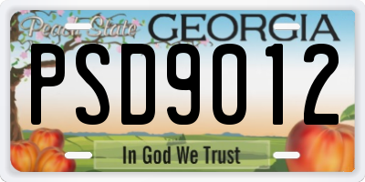 GA license plate PSD9012