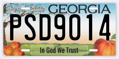 GA license plate PSD9014